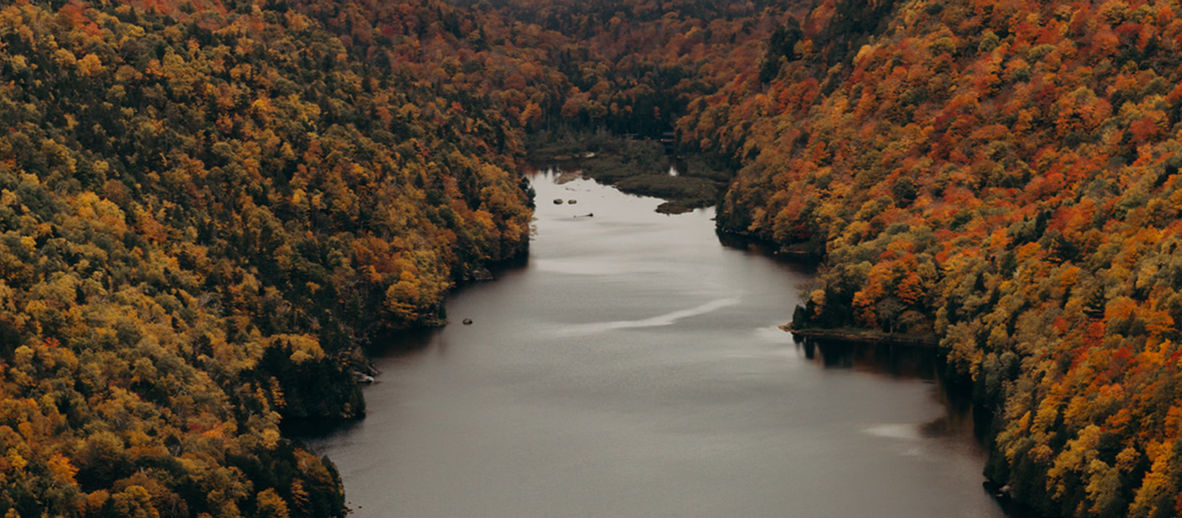 fall trees of many colors encircling a lake